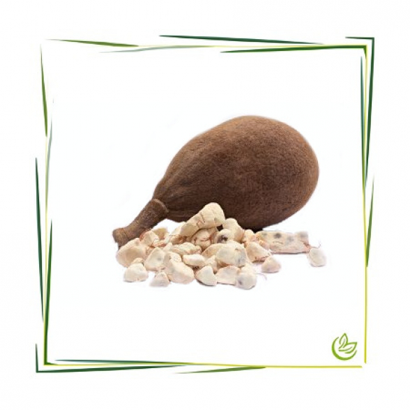 Baobab Pulver BIO 1 kg